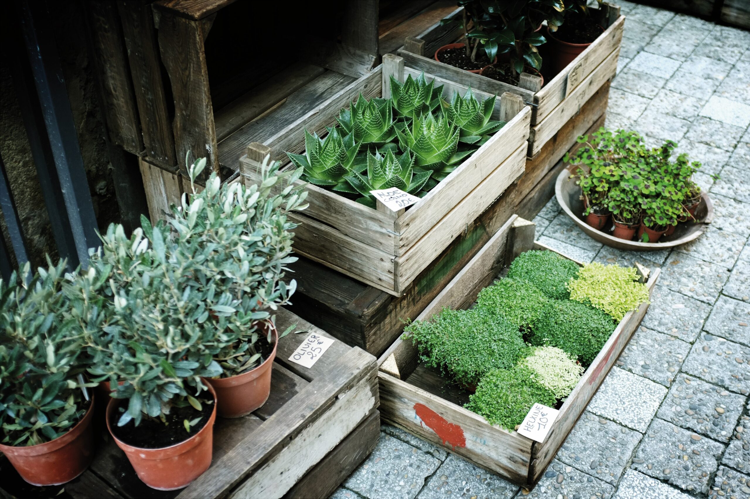 Welk hout voor plantenbak buiten? I Facet Werkt